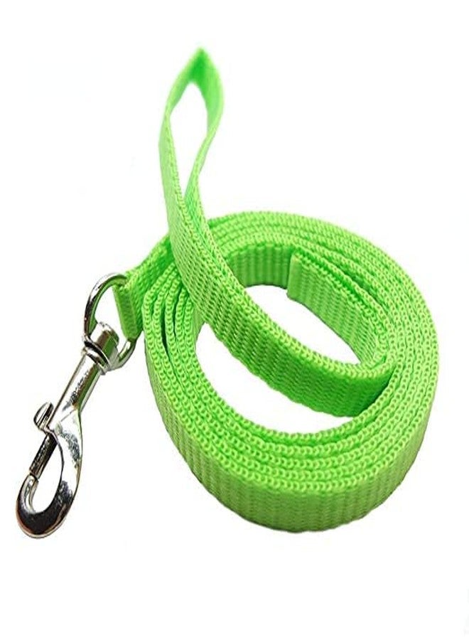 Pups&Pets طقم مقود نايلون من Pups&Pets مع حزام كامل للجسم للقطط، قابل للتعديل ومتين، مناسب للمشي مع الحيوانات الأليفة الصغيرة - أخضر - Image 4